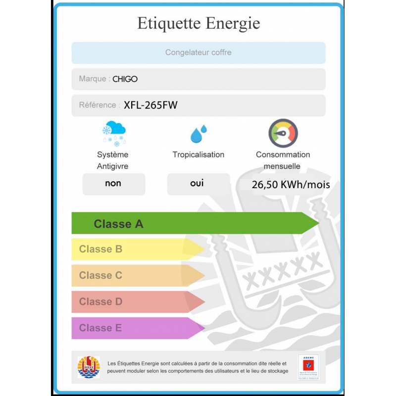 Congélateur 265L CHIGO