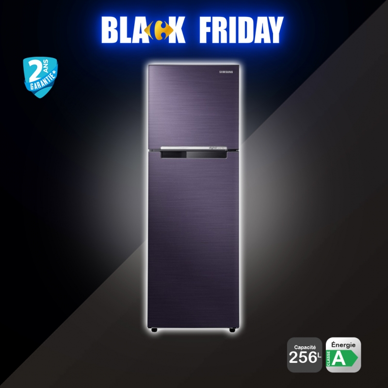 Réfrigérateur 256L SAMSUNG
