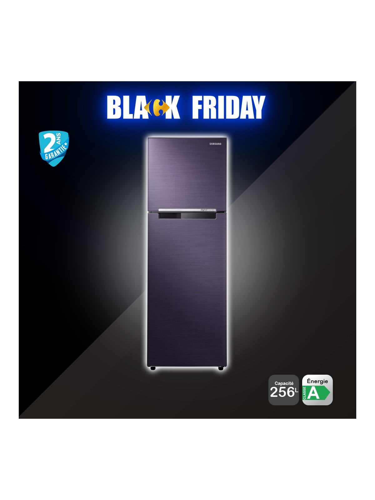 Réfrigérateur 256L SAMSUNG