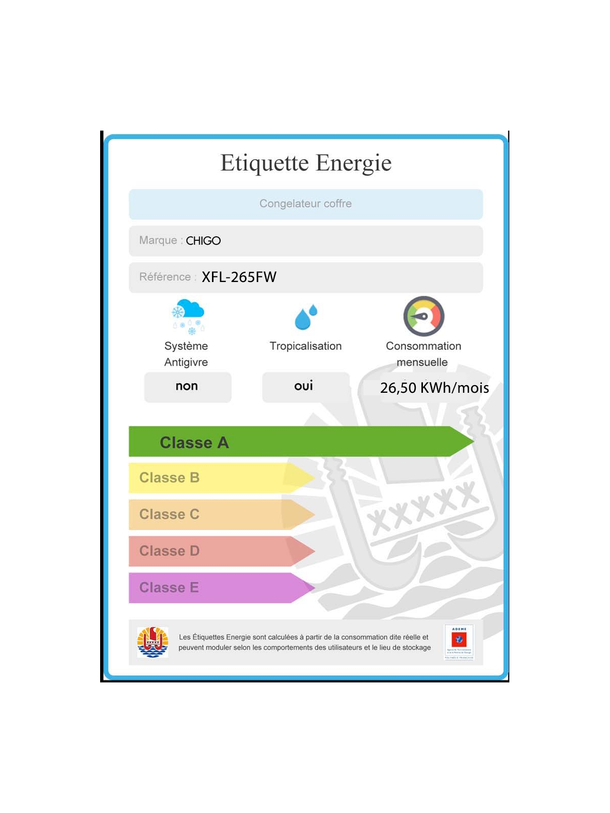 Congélateur 265L CHIGO